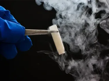 Congelamento Di Embrioni