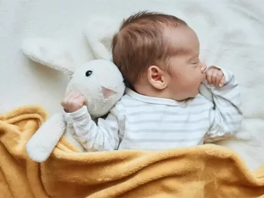 FIV (Fecondazione in Vitro)