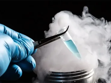 Il Congelamento degli Ovociti