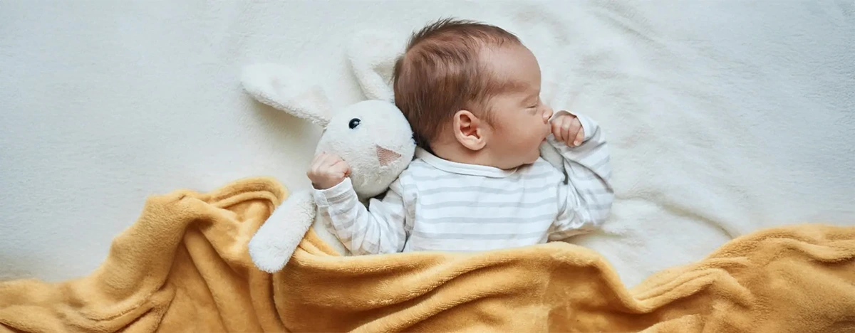 FIV (Fecondazione in Vitro)