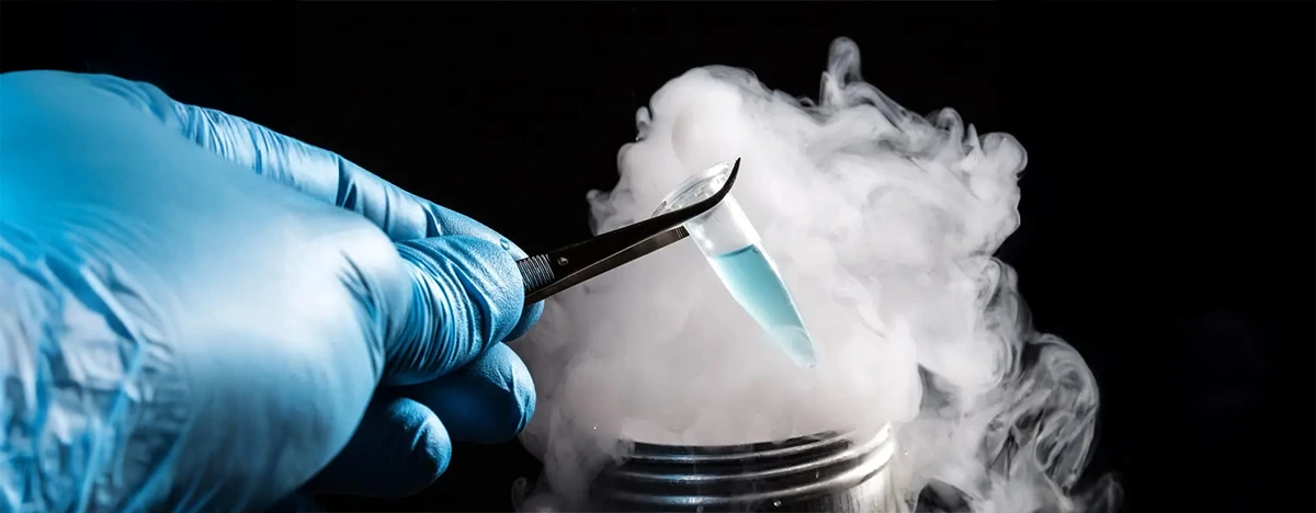 Il Congelamento degli Ovociti