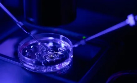 Iniezione intracitoplasmatica di spermatozoi (ICSI)