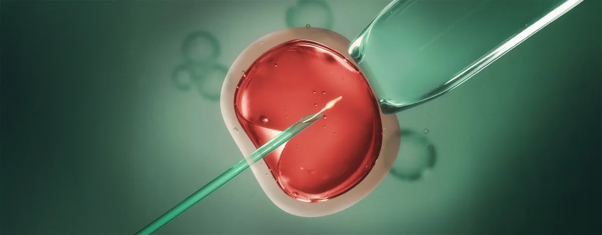 Trattamento di FIVET con Micro-Chip
