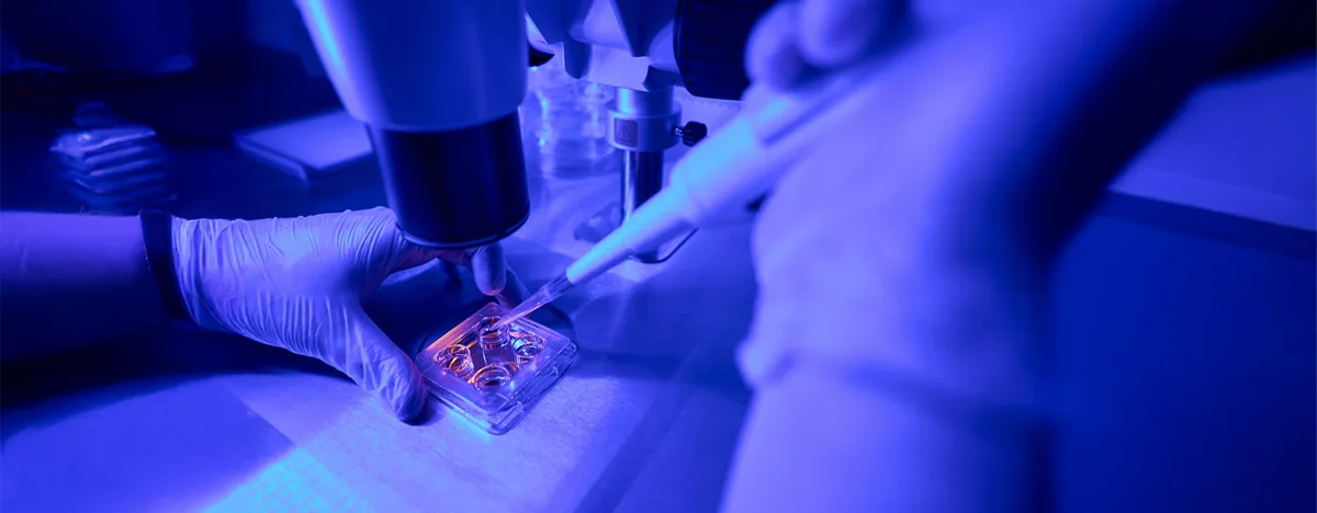 Test WGS (Whole Genome Sequencing)